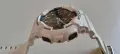 Мъжки часовник Casio G-Shock GA-100B, снимка 4