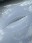 Врата Волво Volvo XC90 2010, снимка 3