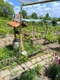 Продавам Вила - ,,Под Манастира", снимка 10