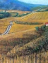 Гледка към Витоша, снимка 3
