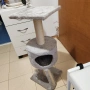 котешка катерушка, снимка 1