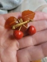кехлибарена брошка. брошка. кехлибар., снимка 11