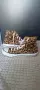 Converse chuck Taylor размер 39 дамски кецове маратонки леопардови , снимка 3
