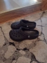Оригинални Crocs 35-36 номер, снимка 1