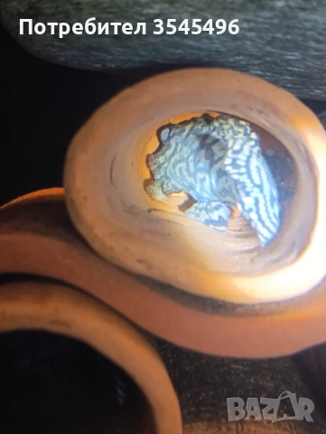 L236 SW, снимка 6 - Рибки - 53978623