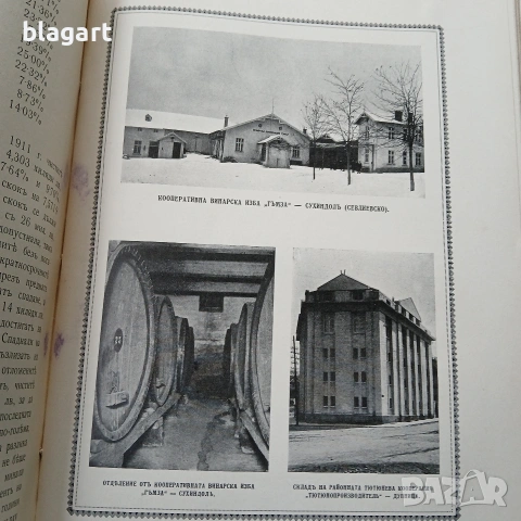 Книга-албум Бълг.зем.банка, снимка 11 - Специализирана литература - 54684931
