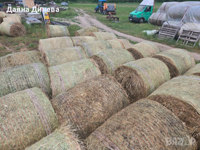 Продавам ролонни бали влажна люцерна, снимка 4 - За селскостопански - 54483625