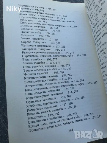 Гъбите в България , снимка 6 - Други - 55538003