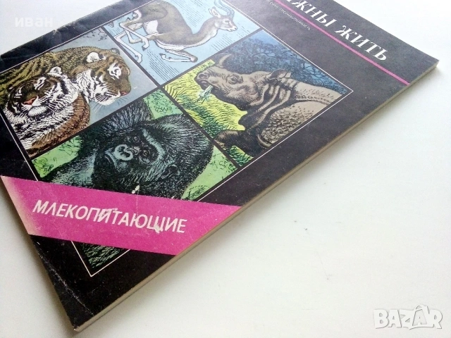 Они должны жить / Альбом, снимка 11 - Енциклопедии, справочници - 54481889