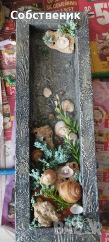 Изработка на декоративни пана , снимка 4 - Пана - 54243608