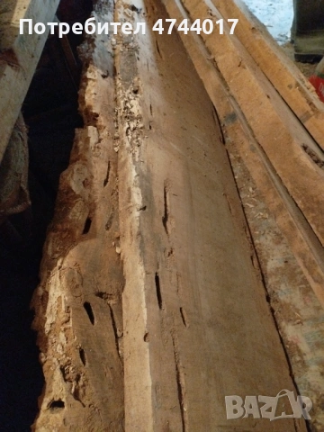 Сухи Талпи от Орех , снимка 13 - Други - 54011466