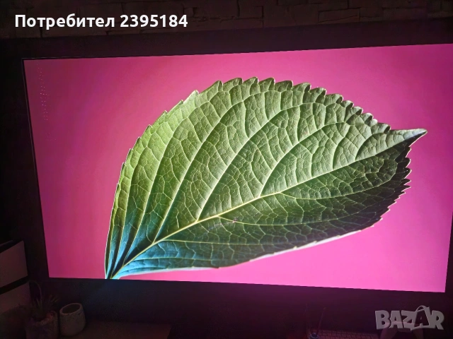 LG G4 77 Oled TV