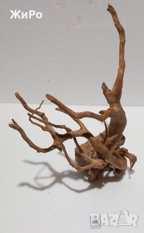 Корен от Азалия /декорация/ 45, снимка 3 - Други - 54102063