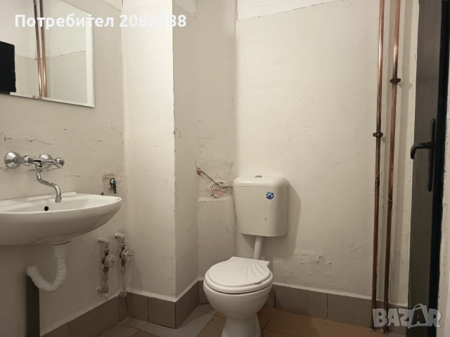 Стая , снимка 7 - Стаи под наем - 54069979