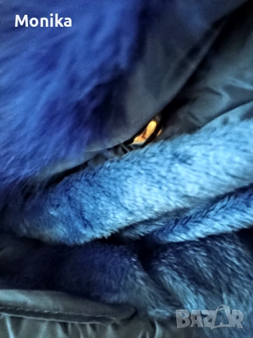 Дамско ново яке CC fashion, снимка 5 - Якета - 53960266