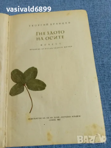 Георгий Брянцев - Гнездото на осите , снимка 4 - Художествена литература - 55589869