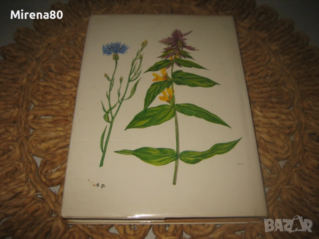 Растения полей и лесов - 1987 г., снимка 6 - Енциклопедии, справочници - 54723028