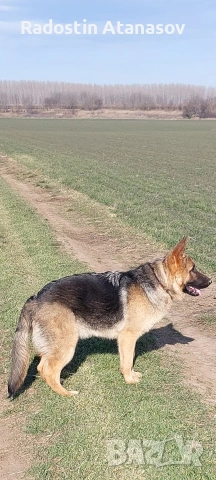 Малки сладки кутрета