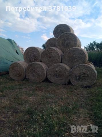  Продавам ролонни бали люцерна със сено