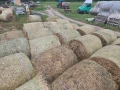 Продавам ролонни бали влажна люцерна, снимка 4