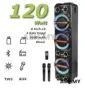преносима голяма парти тонколона Sing-e, модел ZQS8315, снимка 4