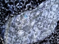 3XL/ 4XL Нова туника Croft & Barrow , снимка 10
