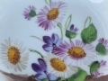Дрезденска красавица 1890 г., снимка 9