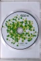 Пайнер хит сезони пролет 2004 (DVD), снимка 2