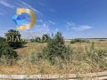 Парцел на главен път Димитровград-Хасково, снимка 4