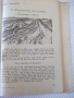 Книга "English for the X class - Любка Сариева" - 160 стр., снимка 6