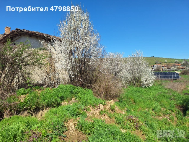  Продавам  в с. Кайнарджа ,обл.Силистра къща /за ремонт/ с двор 2570 кв.м., снимка 2 - Къщи - 54216936