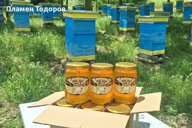 Био Пчелен Мед Акация