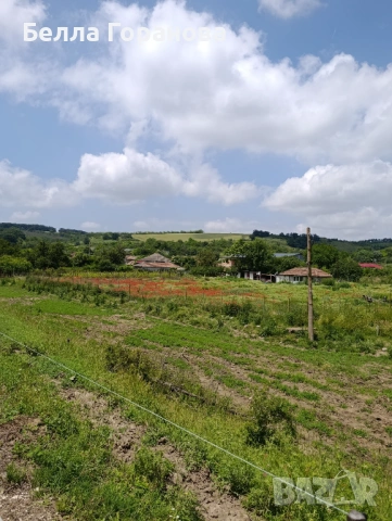 Парцел в с.Кайнарджа, снимка 10 - Парцели - 52271773
