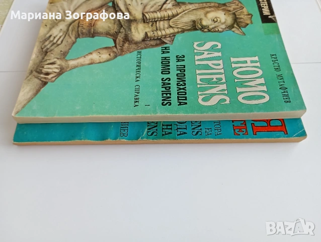 КНИГИ, АЛБУМИ И ИЛЮСТРОВАНИ ИЗДАНИЯ – ИСТОРИЯ, ИЗКУСТВО, РЕЛИГИЯ И КУЛТУРНО НАСЛЕДСТВО, снимка 12 - Езотерика - 50637502