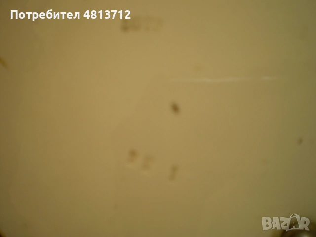 Винтидж овален поднос за сервиране с рисунка на сливи, снимка 6 - Колекции - 54794405