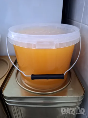 Пчелен мед от слънчоглед и липа 