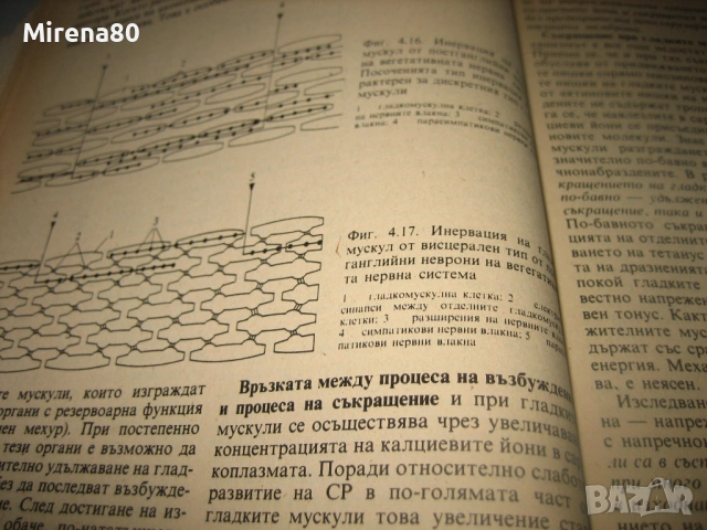 Физиология - 1985 г., снимка 5 - Специализирана литература - 54715543