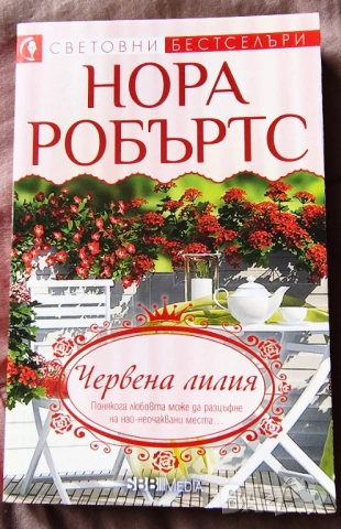 5 нови книги за 10 евро , снимка 10 - Художествена литература - 54491604