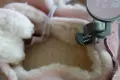 нови пантофи Mothercare, 34ти номер, снимка 5