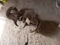Старо обурудване за селскостопанска машина, снимка 6