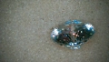 Диамант, Moissanite 100 faceted cut, със сертификат, гравиран номер на камъка - 35 евро - 1 карат, снимка 4