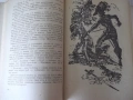 Книга "Бялата ръкавица - Майн Рид" - 432 стр., снимка 5