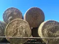 Кръгли бали слама1.20 на 1.50, снимка 5