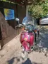 Honda SHADOW 50, снимка 2