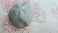 Фосил вкаменелост Морски таралеж, снимка 2