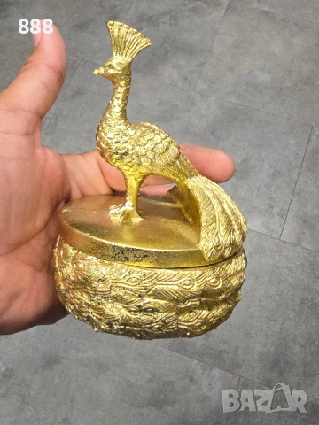 кутиика с паун 