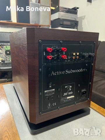 Focal JMLab SW A25, снимка 7 - Тонколони - 54022802