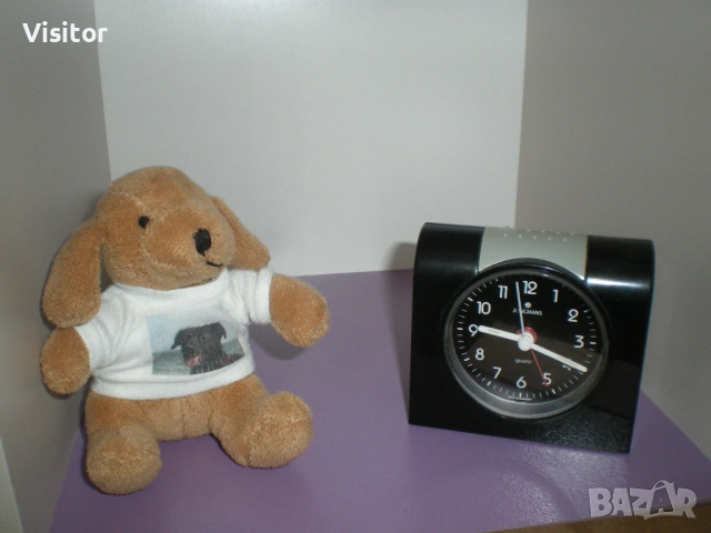 фотоапарат Pentax Optio V10, снимка 13 - Фотоапарати - 54282439