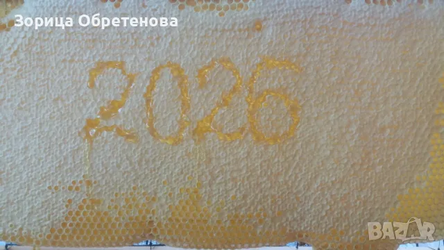 Натурален пчелен мед