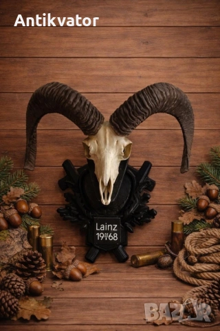 Трофей от муфлон